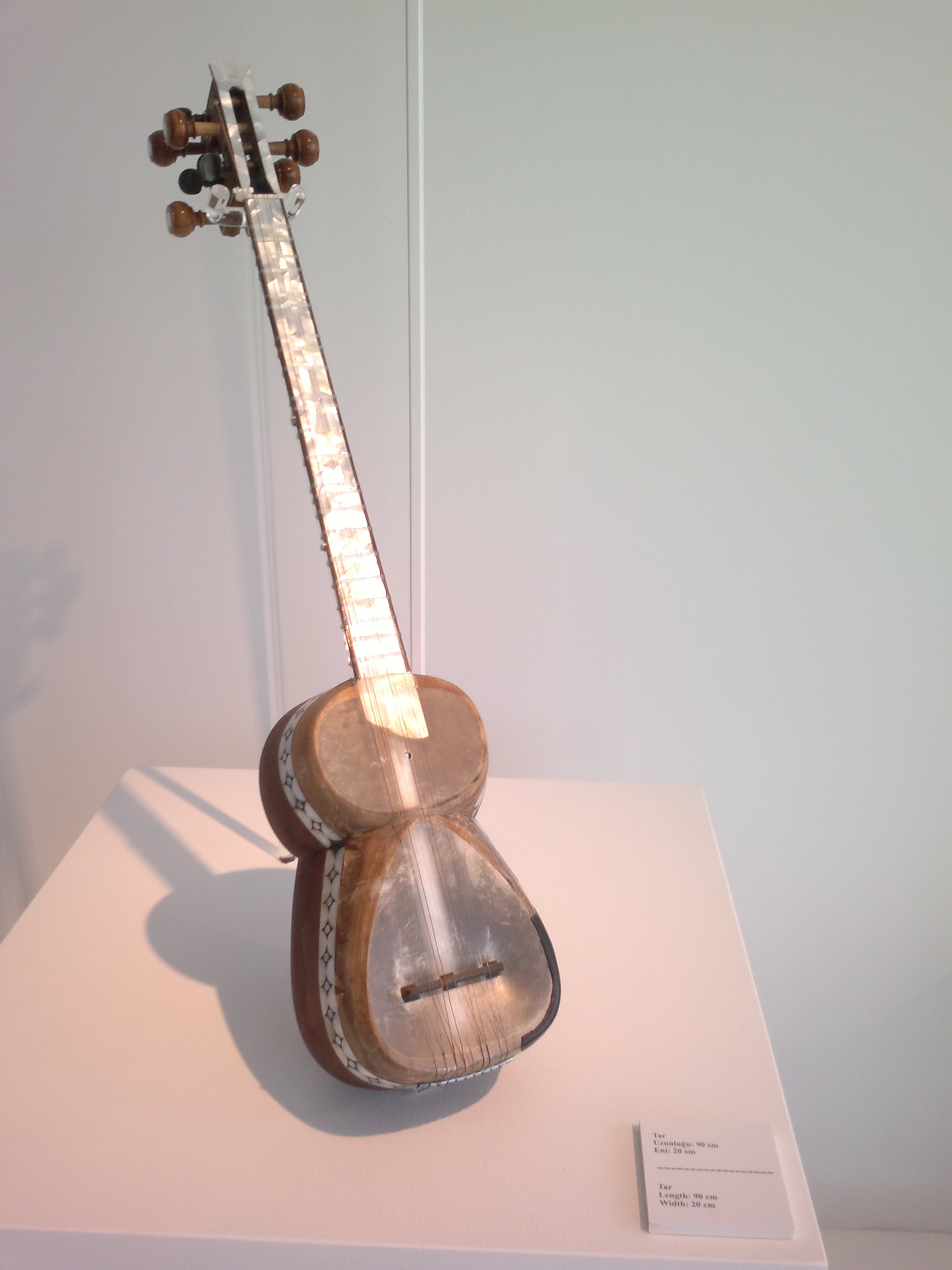 An upright tar with a long fretted neck and two rounded membrane-covered body chambers in a museum display.